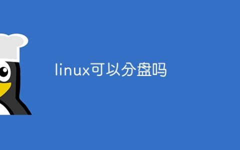 linux可以分盘吗