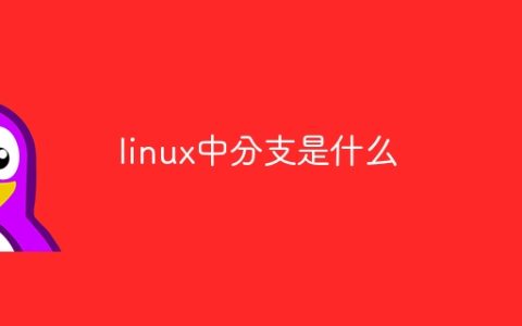 linux中分支是什么