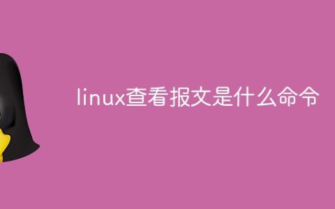 linux查看报文是什么命令