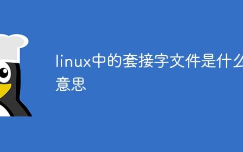 linux中的套接字文件是什么意思