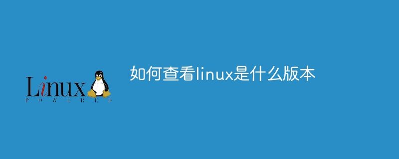如何查看linux是什么版本