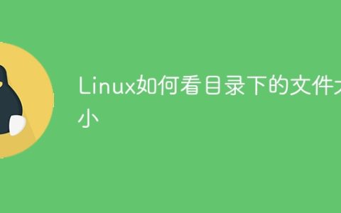 Linux如何看目录下的文件大小