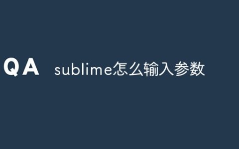 sublime怎么输入参数