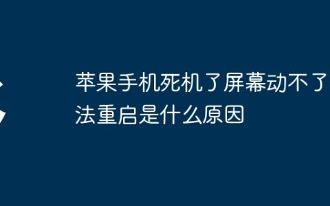 苹果手机死机了屏幕动不了无法重启是什么原因