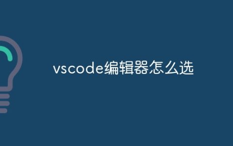 vscode编辑器怎么选