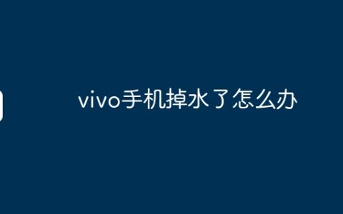 vivo手机掉水了怎么办