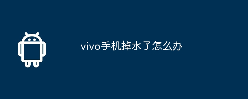 vivo手机掉水了怎么办