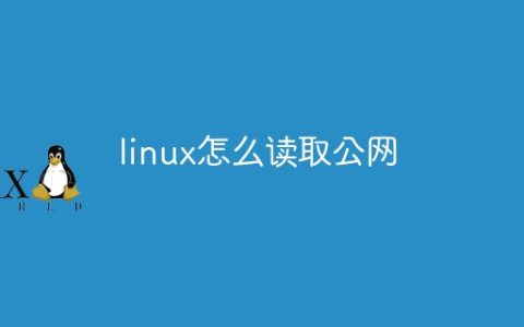 linux怎么读取公网