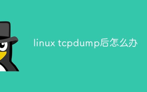 linux tcpdump后怎么办