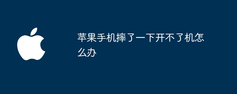 苹果手机摔了一下开不了机怎么办