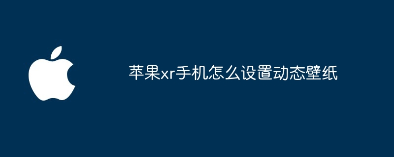 苹果xr手机怎么设置动态壁纸