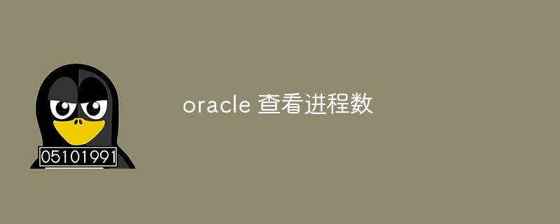 oracle 查看进程数