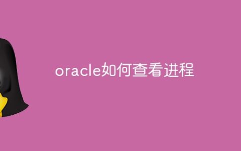 oracle如何查看进程