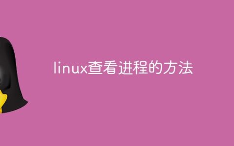 linux查看进程的方法