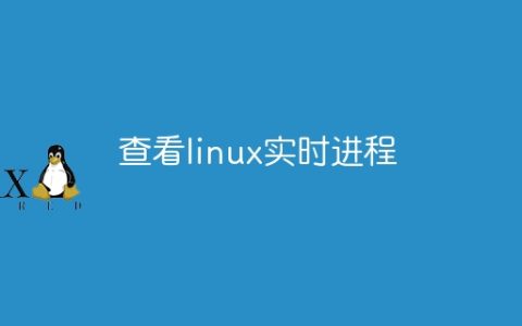查看linux实时进程
