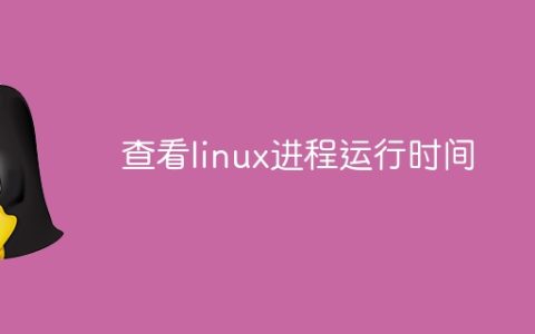 查看linux进程运行时间
