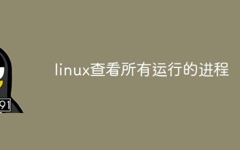 linux查看所有运行的进程
