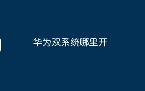 华为双系统哪里开