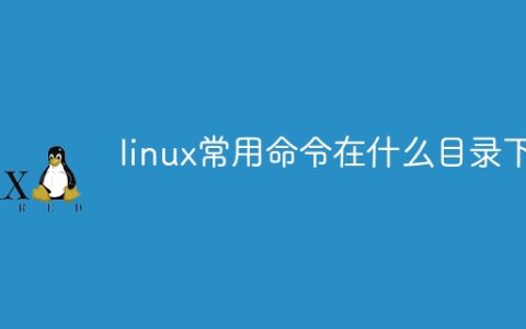 linux常用命令在什么目录下