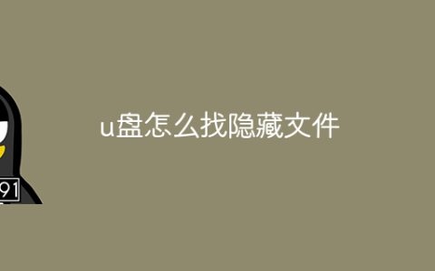u盘怎么找隐藏文件