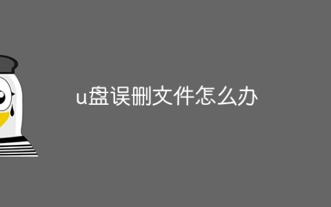 u盘误删文件怎么办