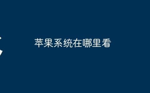 苹果系统在哪里看