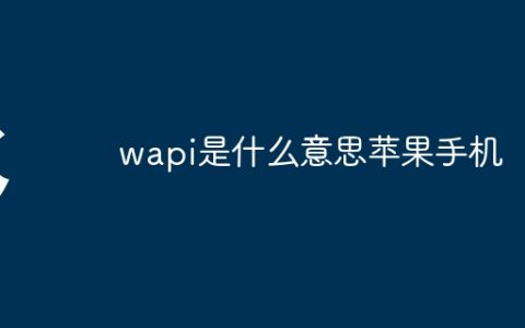 wapi是什么意思苹果手机