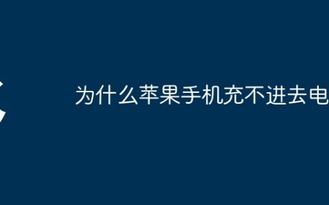 为什么苹果手机充不进去电