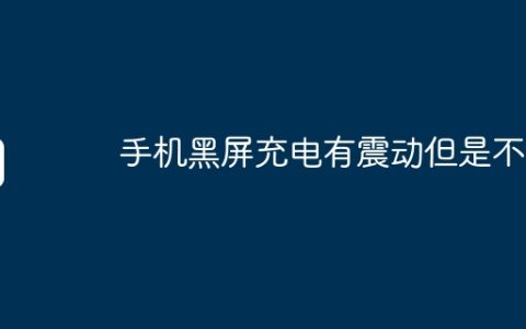 手机黑屏充电有震动但是不亮
