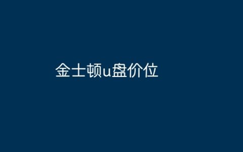 金士顿u盘价位