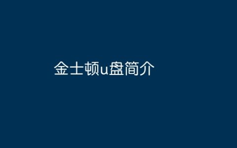 金士顿u盘简介