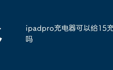 ipadpro充电器可以给15充电吗