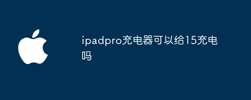 ipadpro充电器可以给15充电吗