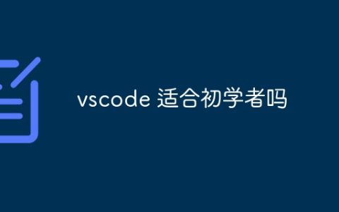 vscode 适合初学者吗