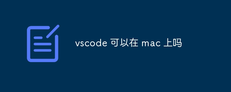 vscode 可以在 mac 上吗