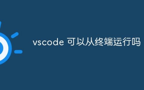 vscode 可以从终端运行吗