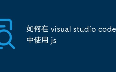 如何在 visual studio code 中使用 js