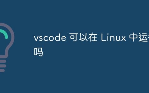 vscode 可以在 Linux 中运行吗