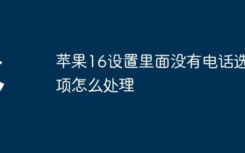 苹果16设置里面没有电话选项怎么处理