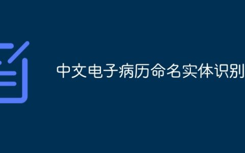 中文电子病历命名实体识别