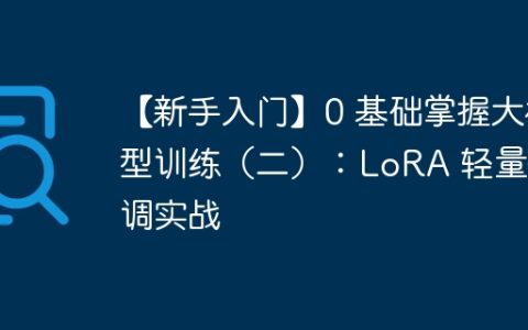 【新手入门】0 基础掌握大模型训练（二）：LoRA 轻量微调实战