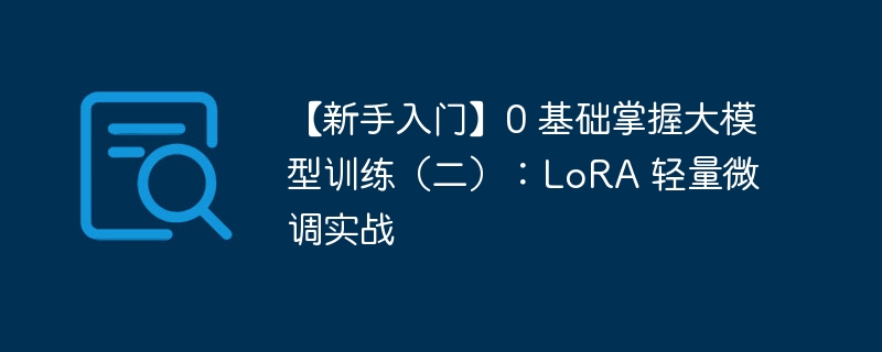 【新手入门】0 基础掌握大模型训练(二):LoRA 轻量微调实战