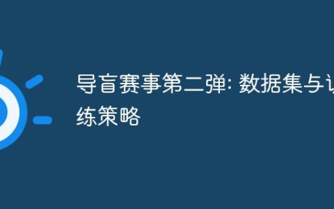 导盲赛事第二弹: 数据集与训练策略