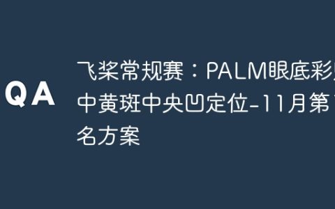 飞桨常规赛：PALM眼底彩照中黄斑中央凹定位-11月第1名方案