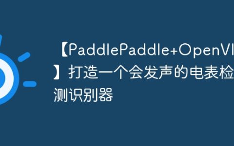【PaddlePaddle+OpenVINO】打造一个会发声的电表检测识别器