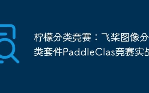 柠檬分类竞赛：飞桨图像分类套件PaddleClas竞赛实战