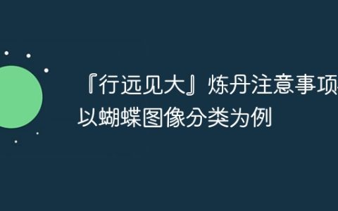 『行远见大』炼丹注意事项——以蝴蝶图像分类为例