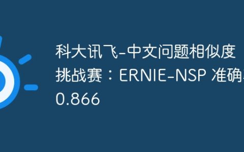 科大讯飞-中文问题相似度挑战赛：ERNIE-NSP 准确率0.866