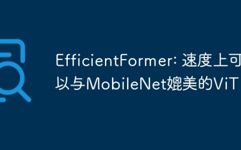 EfficientFormer: 速度上可以与MobileNet媲美的ViT