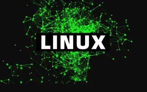 Linux 磁盘分区和挂载